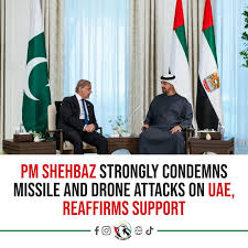 Pakistan PM Condemns Missile and Drone Attacks on UAE, Urges Respect for Ceasefire
