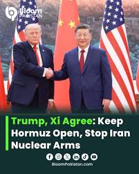 China Ready to Mediate to Keep Strait of Hormuz Open, Says Trump